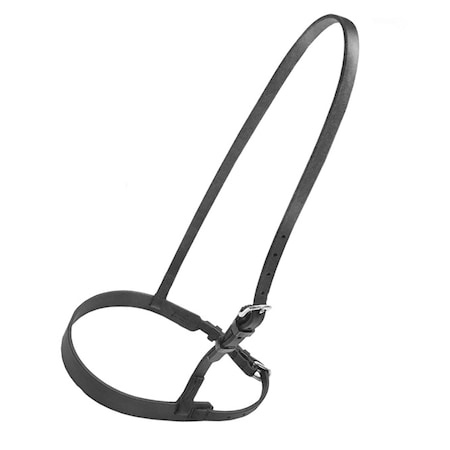 Jacks Beta Training Caveson HORSE 3352-H